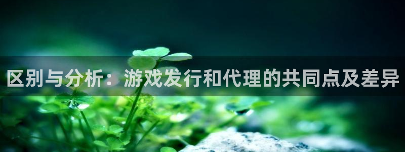 db电竞电子商务有限公司怎么样啊：区别与分析：游戏发行和代理的共同点及差异