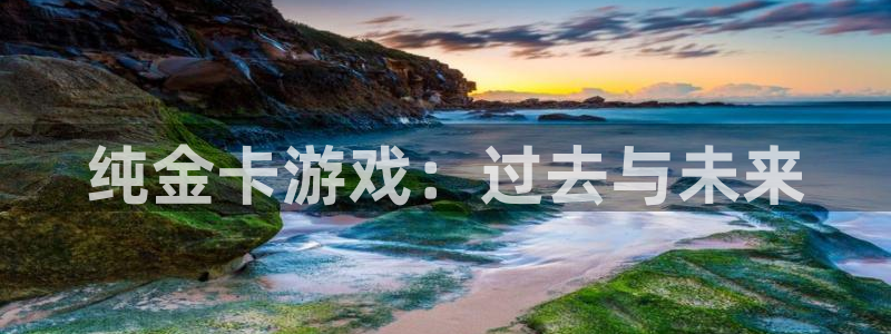 db电竞官网是境外的吗：纯金卡游戏：过去与未来