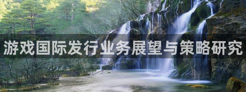 db电竞子文化创意有限公司特邀玩家：游戏国际发行业务展望与策略研究