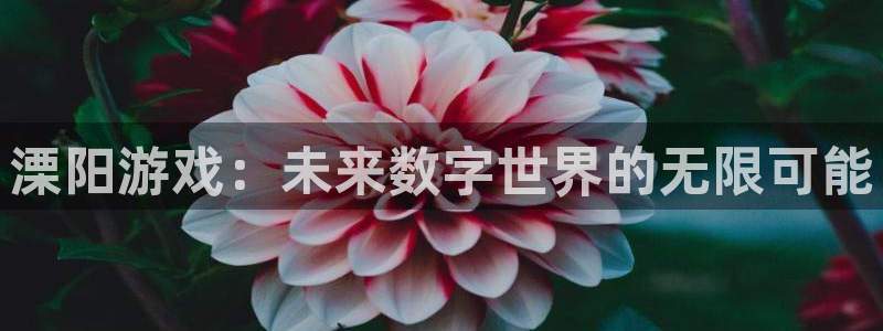 广东db电竞：溧阳游戏：未来数字世界的无限可能