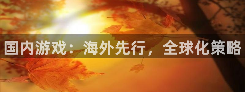 db电竞官网登录注册账号安全吗可靠吗：国内游戏：海外先行，全球化策略