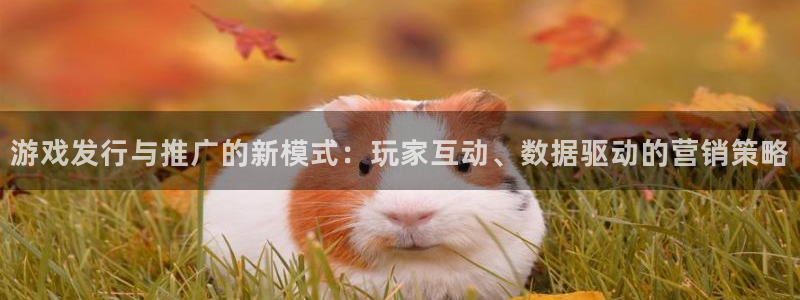 db电竞官网注册方法有哪些：游戏发行与推广的新模式：玩家互动、数据驱动的营销策略