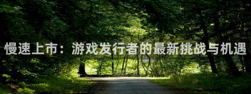 db电竞怪兽：慢速上市：游戏发行者的最新挑战与机遇