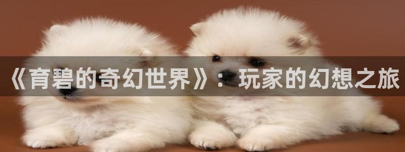db电竞子 到底怎么样