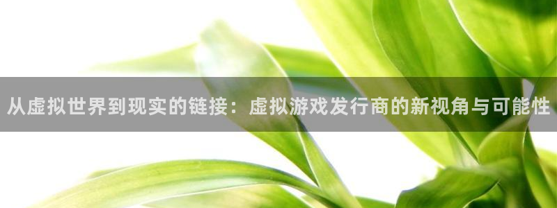 db电竞官网客服：从虚拟世界到现实的链接：虚拟游戏发行商的新视角与可能性