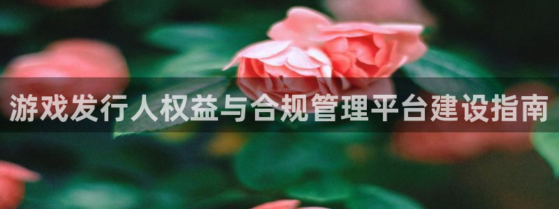 db电竞官网骗局是真的吗：游戏发行人权益与合规管理平台建设指南
