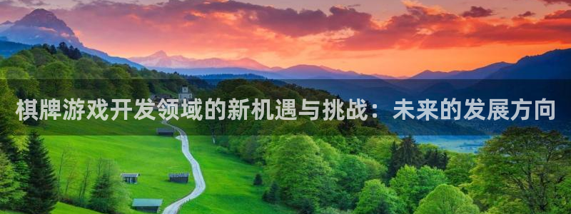 db电竞电子商务有限公司怎么样啊：棋牌游戏开发领域的新机遇与挑战：未来的发展方向