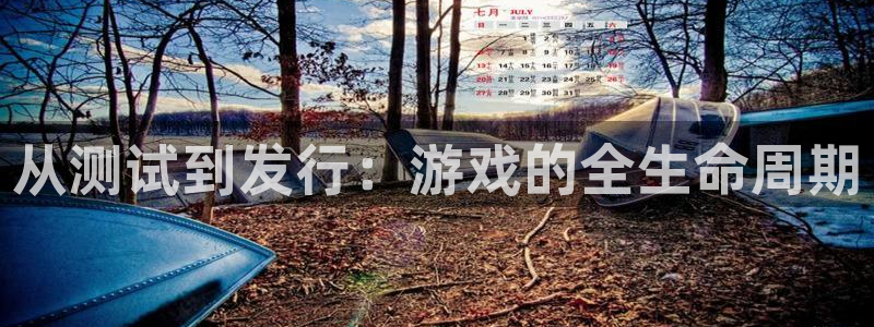 db电竞官网官网注册账号密码：从测试到发行：游戏的全生命周期