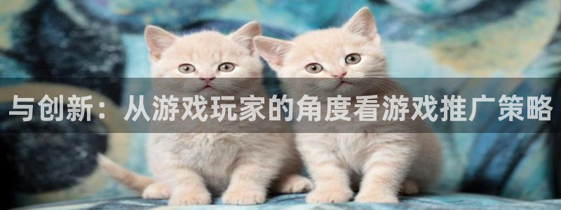 db电竞官网平台招商qq