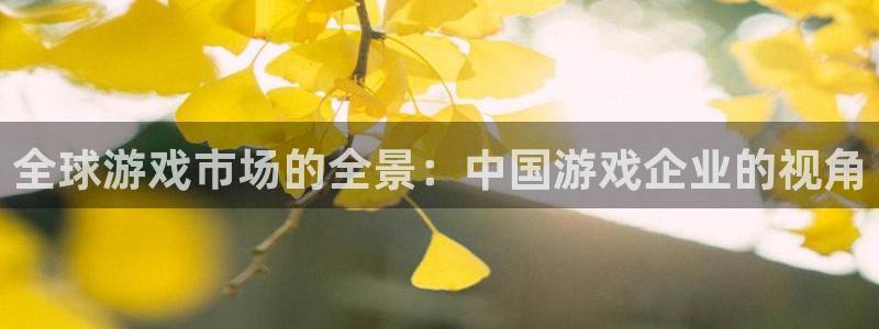 db电竞官网开户待遇：全球游戏市场的全景：中国游戏企业的视角