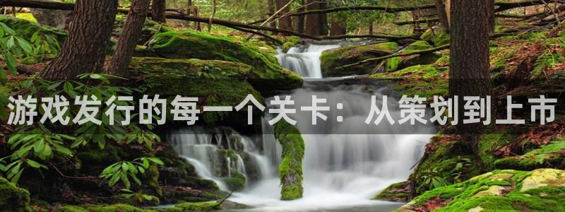 db电竞官网注册平台怎么注册不了：游戏发行的每一个关卡：从策划到上市