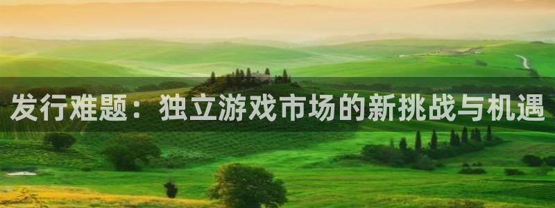 db电竞子年度最佳图书：发行难题：独立游戏市场的新挑战与机遇