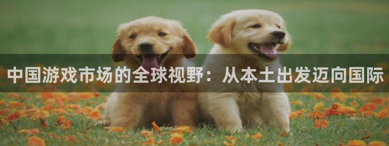 db电竞官网是赌博么：中国游戏市场的全球视野：从本土出发迈向国际
