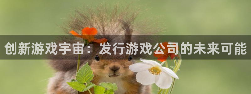 db电竞电子商务