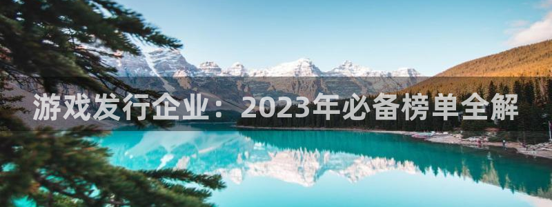 db电竞子财经图书：游戏发行企业：2023年必备榜单全解