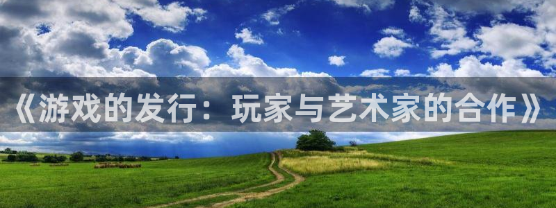 db电竞涂料怎么样：《游戏的发行：玩家与艺术家的合作》