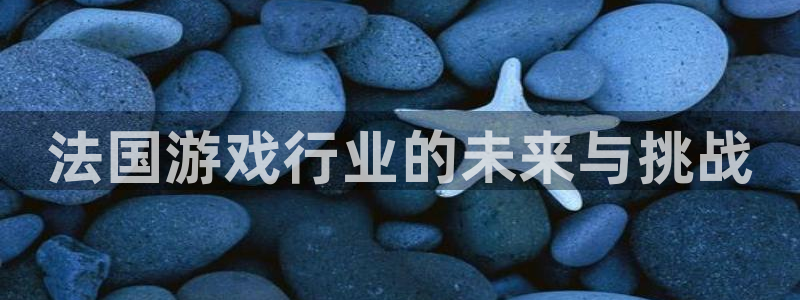 db电竞官网注册平台登录不上：法国游戏行业的未来与挑战