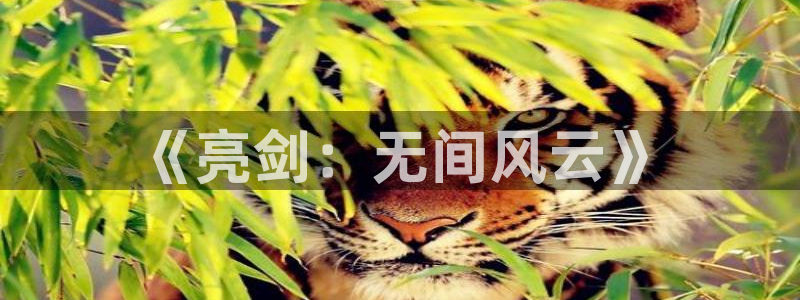 db电竞品牌策划团队介绍：《亮剑：无间风云》