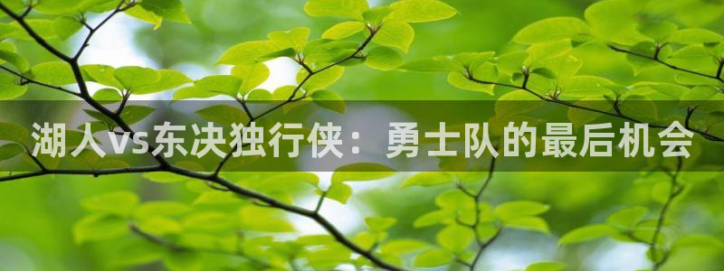 乐球直播nba赛事：湖人vs东决独行侠：勇士队的最后机会